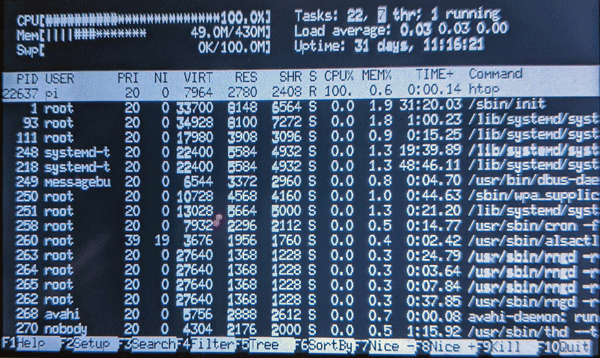 htop running on display